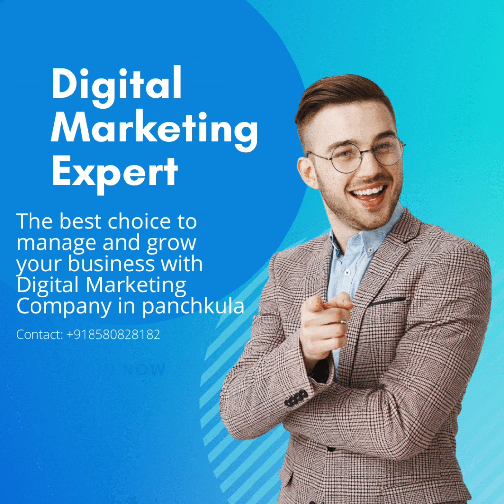 Digital Marketing Company in Panchkula